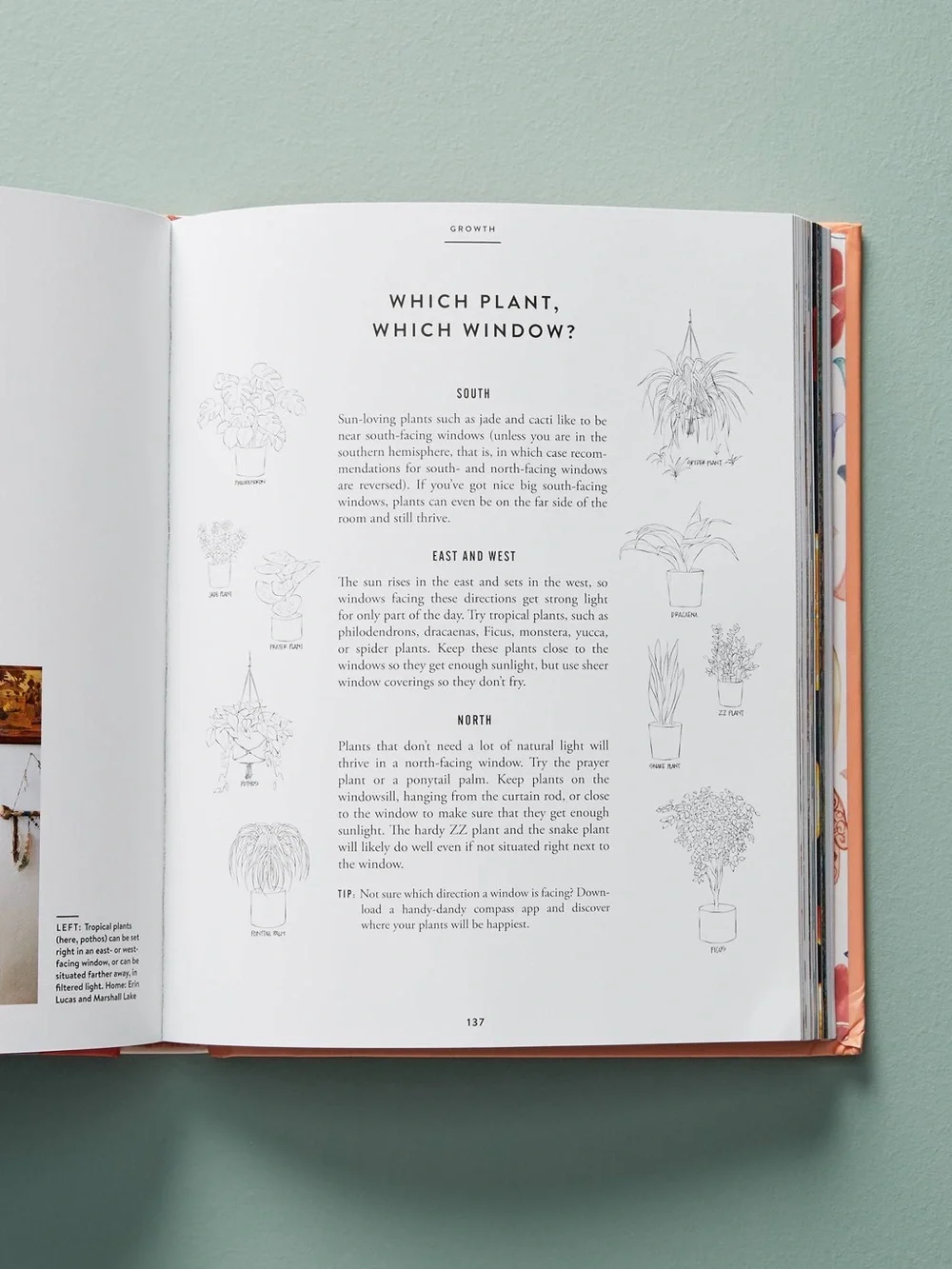 The New Bohemians Handbook Come Home to Good Vibes by Justina Blakeney Hardback